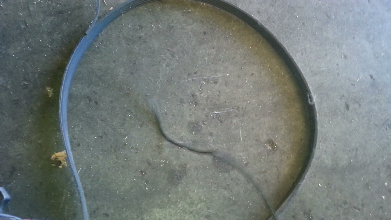 Problème calage distribution MEGANE 3 1.5 DCI