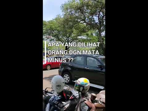 Video: Menjumpai Kaedah Untuk Mengembalikan Penglihatan Kepada Orang Buta - Pandangan Alternatif