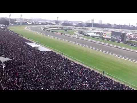 第５９回有馬記念 発送前 ファンファーレ ゴンドラ席から撮影 ２０１４．１２．２８
