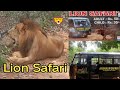 Lion Safari||Jungle Safari||SV zoological park||Close lion safari||#vision of thoughts||