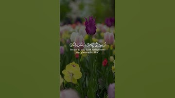 يا أيتها النفس المطمئنة ارجعي إلى الى ربك راضيه مرضيه من سورة الفجر بصوت الشيخ سعد الغامدي