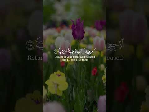 يا أيتها النفس المطمئنة ارجعي إلى الى ربك راضيه مرضيه من سورة الفجر بصوت الشيخ سعد الغامدي