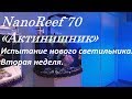 NanoReef 70. Испытание нового светильника.  Вторая неделя.