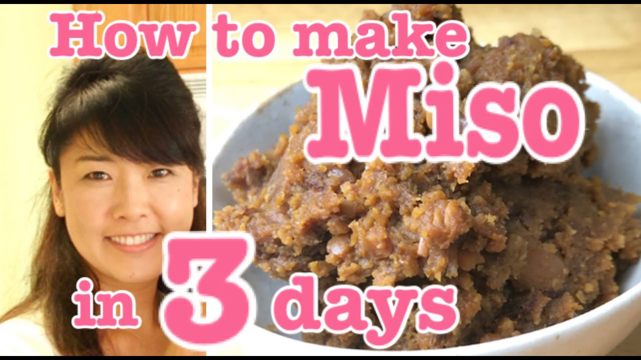 How to make Home made Miso in 3 days | Japanese Cooking Lovers by Yuri