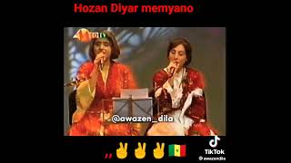 Hozan Diyar memyano