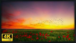 Spring Landscapes Collection | 4K Frame TV Screensaver | Still Frame Art