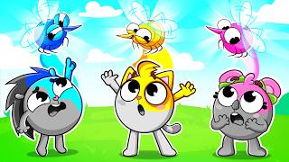 bring back colors kids songs nursery rhymes baby zoo