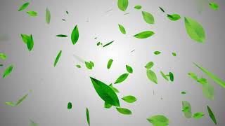Leaf particle Random Moving Effect || HD Video || #svdigitals