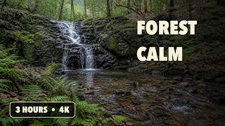 Relaxing Piano by a Forest Waterfall 🌿 3 Hours for Sleep & Focus (4K) Guide