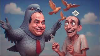 فاضي شوية.. بالعرض؟