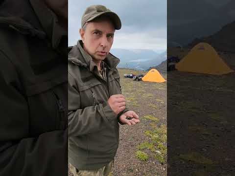 Что можно узнать по экскрементам снежного барана, которые пролежали 3 года в горах Плато Путорана