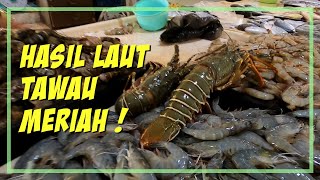 Meninjau Hasil Laut Di Daerah Tawau, Sabah