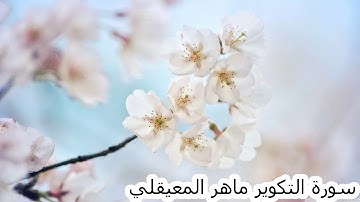سورة التكوير ماهر المعيقلي QURAN Surat At-Takwir