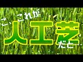 人工芝はこれが一番！失敗しない！耐久×質感×価格がベストバランスの「リアリーターフ」