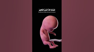 ثم خلقنا النطفة علقة #احمد_العجمي #سورة_المؤمنون