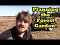 Planning out the Forest Garden!
