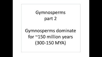 Gymnosperms, part 2