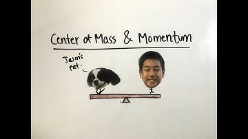 Center of Mass and Linear Momentum (AP Physics C)