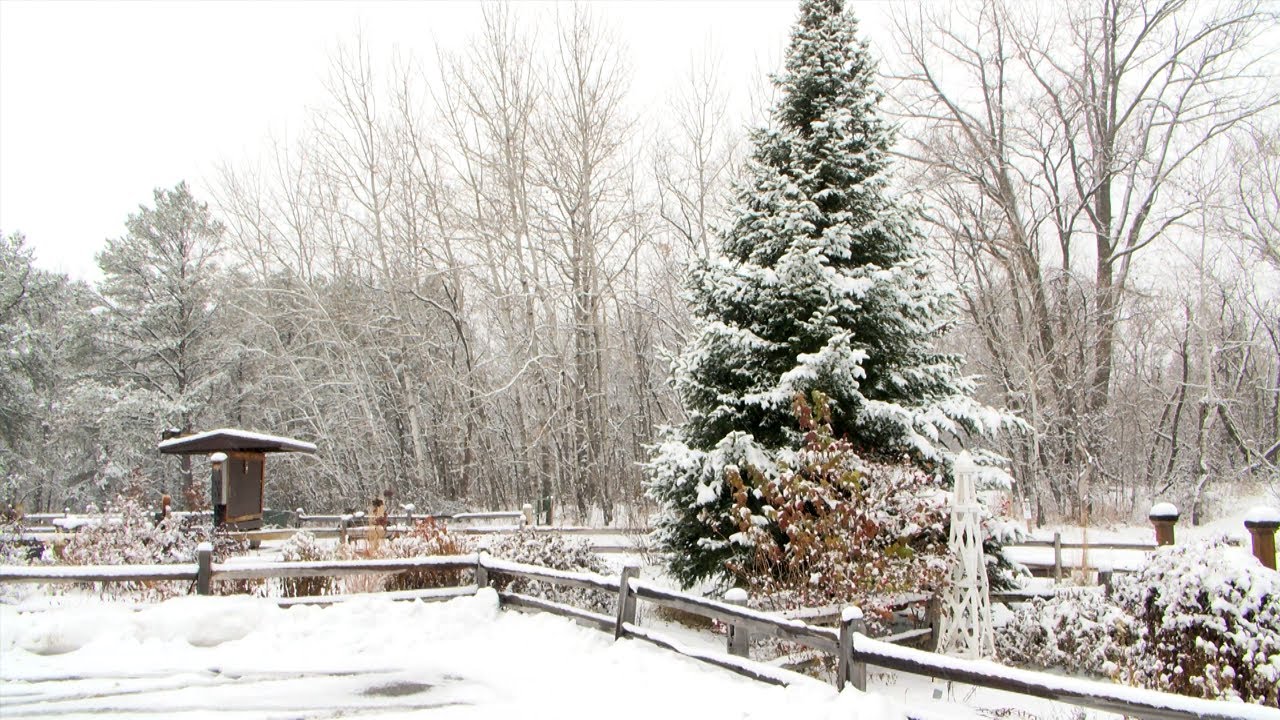 Northwoods Adventure: Brainerd Experiences First Heavy Snowfall of the Year