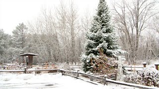 Northwoods Adventure: Brainerd Experiences First Heavy Snowfall of the Year