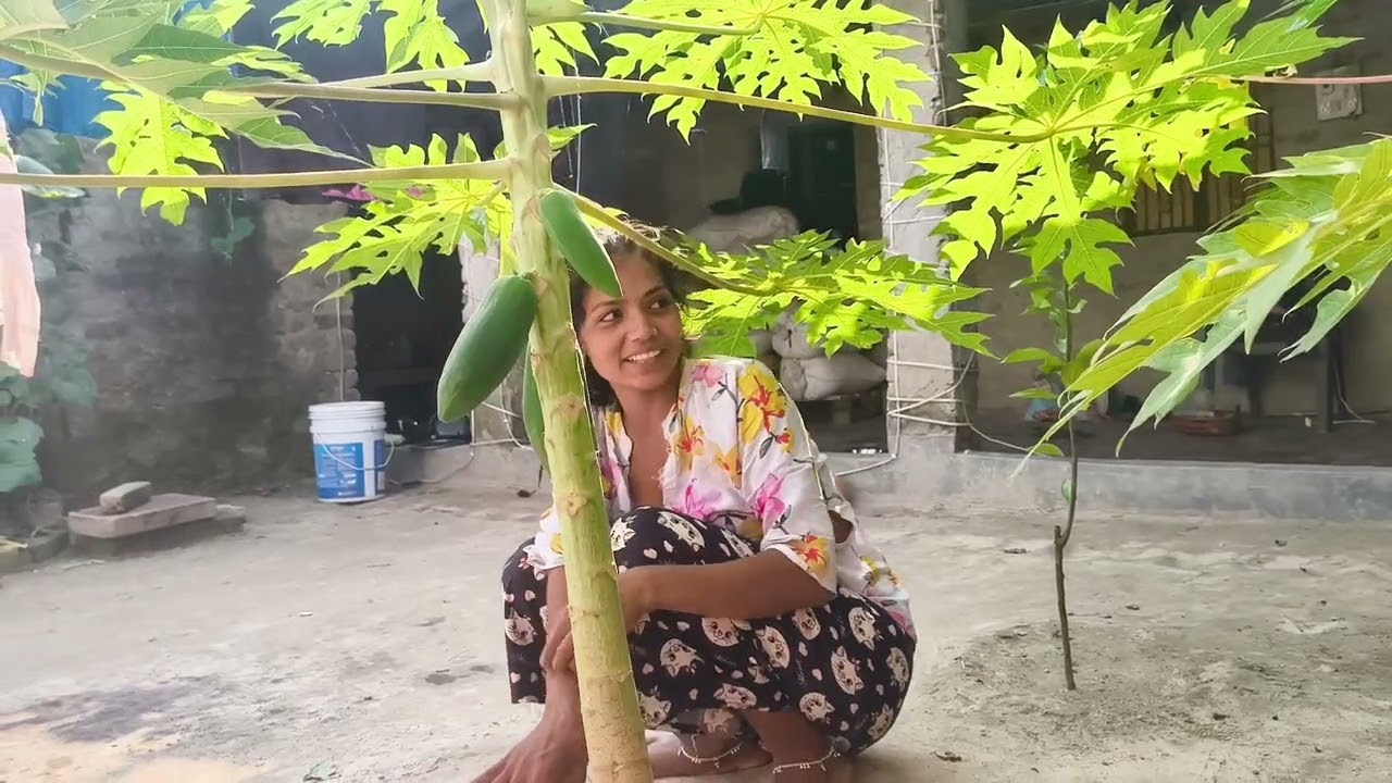 16 नवंबर 2025