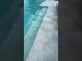 Custom Gunite Pool with White Plaster #custompool #gunitepools #poolbuilder #poolconstruction