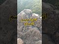 تحليل إشارة ومجسم التمساح
