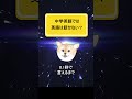 中学英語を復習しても話せない理由【順番が大事】