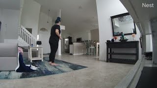 Baby Gator Invades Kitchen || ViralHog
