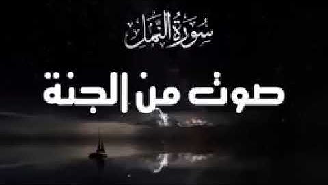 سورة النمل القارئ بلال دربالي