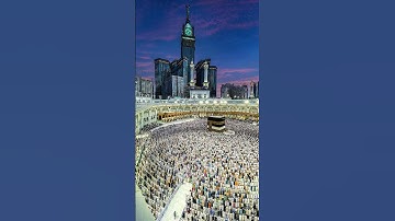 تلاوة هادئة تريح القلب 🌸 #القران_الكريم #المصحف #تلاوة_خاشعة #elmulquranعلم