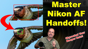 Master Nikon AF Handoffs on Z8, Z9, and Z6iii for Jaw-Dropping Action Shots!