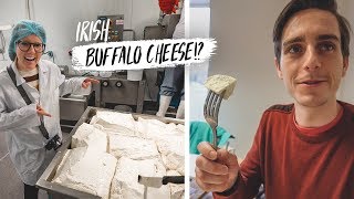 Learning To Make IRISH BUFFALO CHEESE!? + Wrecked Our Rental Car!