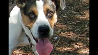 FOHA Buddies - 9/22/2016