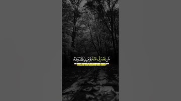 #القرآن_الكريم #القرآن #قرآن #قران_كريم #القارئ_احمد_إشكال #ليبيا #اكسبلور #funny #freefire #لايك