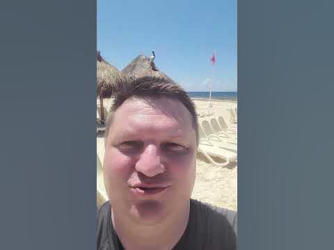 Мексиканский Пеликан под Мексиканское Пиво - YouTube
