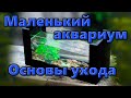 Маленький аквариум|Основы ухода и выбора оборудования|Уход за небольшим аквариумом|Первый аквариум