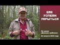 Еле успели укрыться! Дневник грибника 24 августа 2019 года.