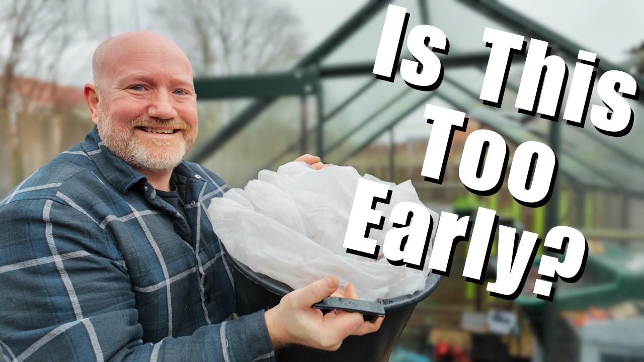 Можно ли вырастить картофель на такой ранней стадии? Настоящее садоводство на приусадебном участке.