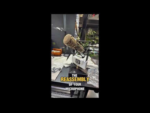 This is for the Rush Limbaugh golden microphone. 🎙️🧱🔥