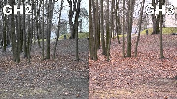 AF during video comparison, GH2 vs GH3, Sigma 30mm f/2.8