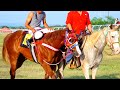 Semifinal Futurity Texano Patito/C Cantera Ranch