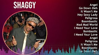 Shaggy 2024 MIX Greatest Hits - Angel, Go Down Deh, It Wasn't Me, Hey Sexy Lady