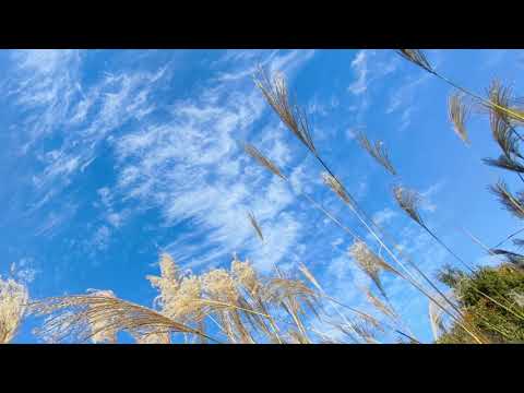 ギターアレンジ：陽だまり道（のんのんびより）