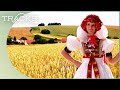 The czech republics rich moravian culture  unusual cultures  tracks