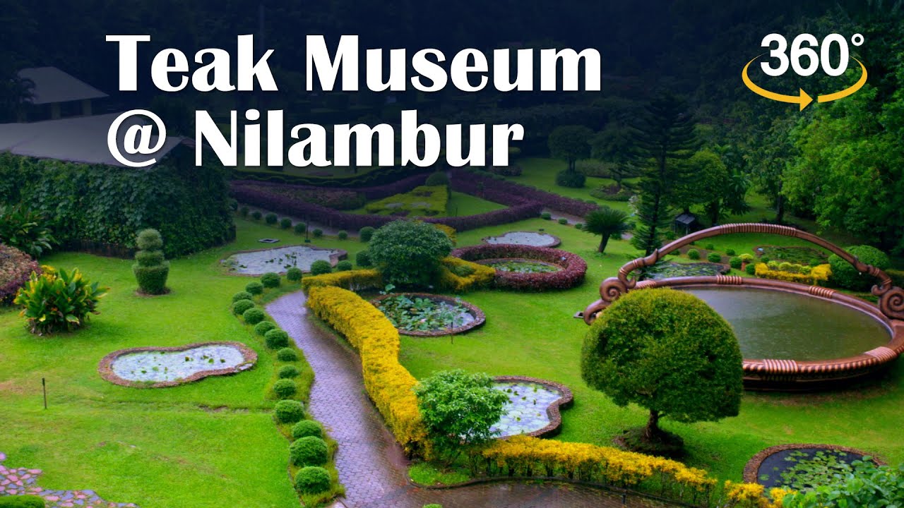 Learn all about Teak @ The Nilambur Teak Museum, Malappuram