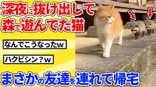 【2ch動物スレ】深夜に森で遊んでた猫が予想外の友達を連れてきたｗｗｗｗｗ