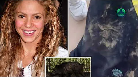 Wild boars attack pop superstar Shakira in Barcelona