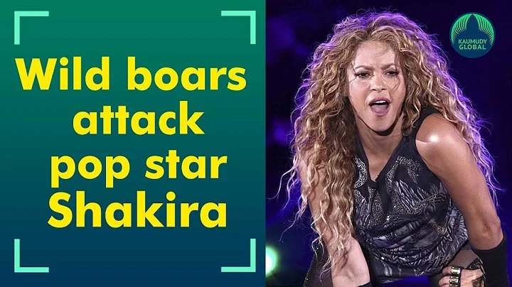 Wild boars attack pop superstar Shakira in Barcelona