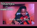NITAREJEA VIOLIN VISION DIAMOND PLATNUMZ FT HAWA Violin Cover 